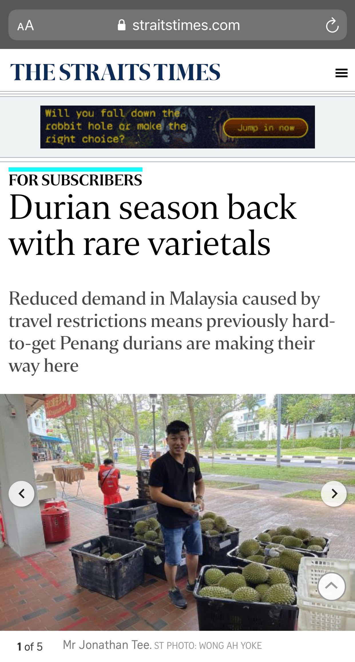 Published on The Straits Times